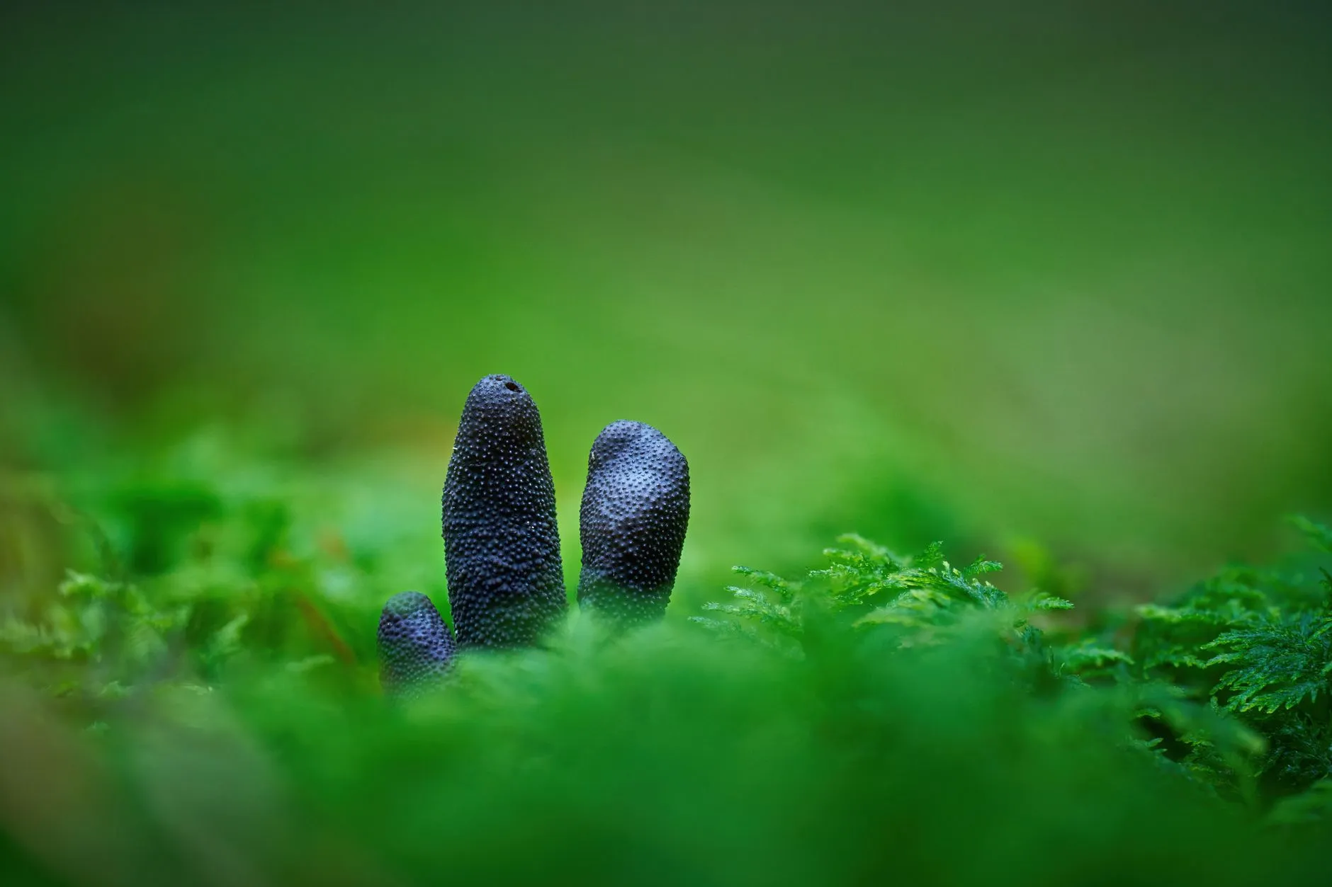 通信设备在智慧门禁系统中的应用方案与案例解析