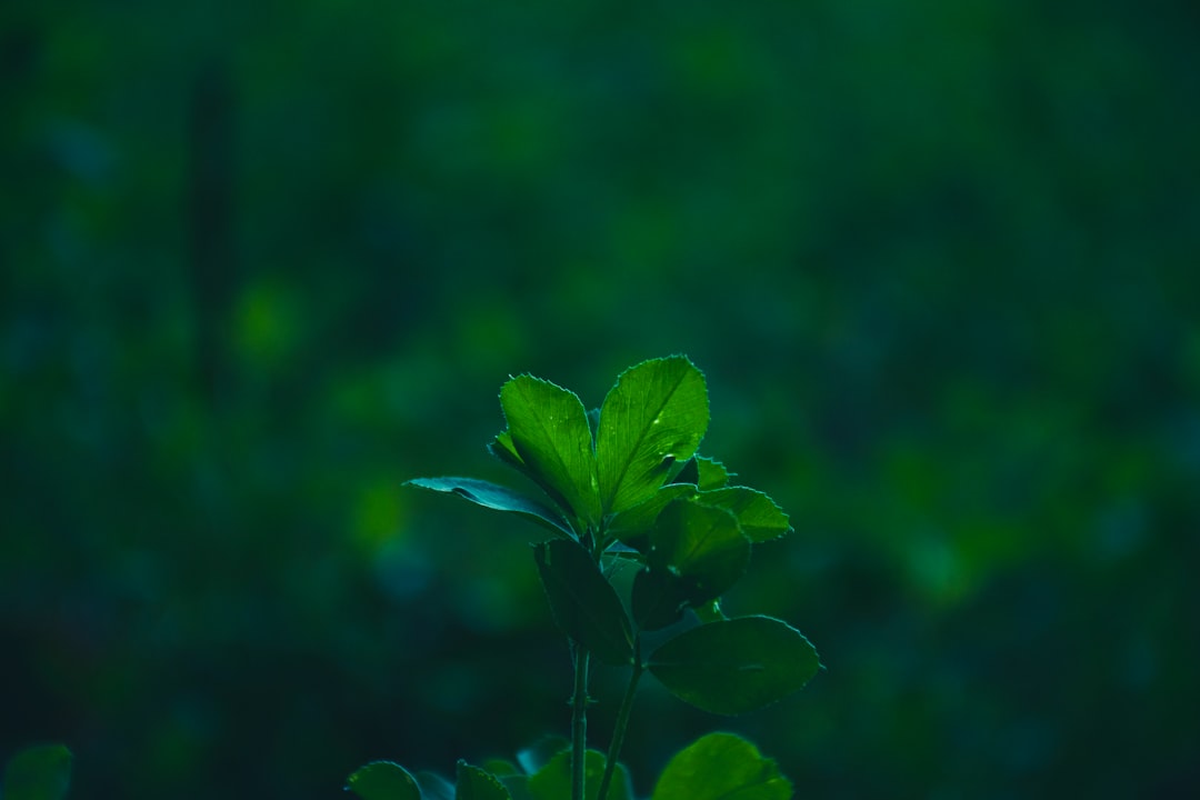 武汉企业安防监控与门禁设备选型：如何匹配不同规模场景的智能化需求